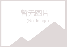 黑河夏岚工程有限公司